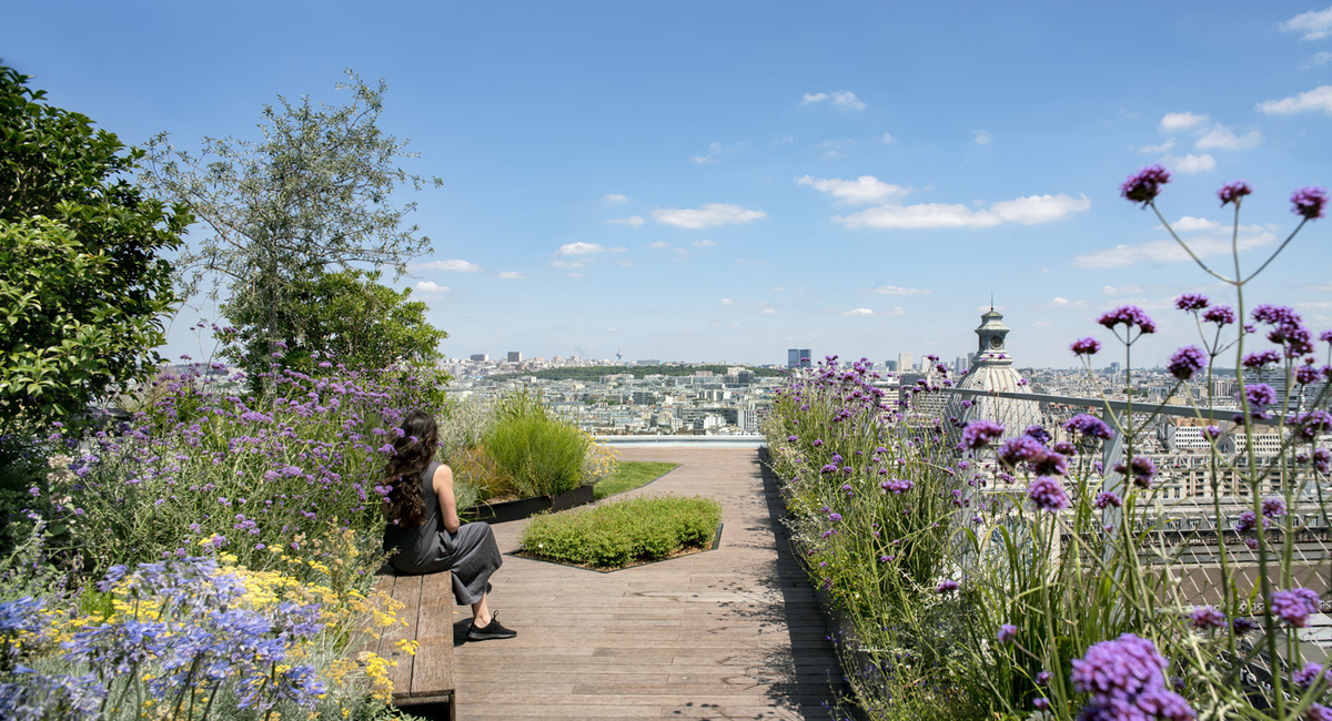 Ibox immeuble Gecina rooftop